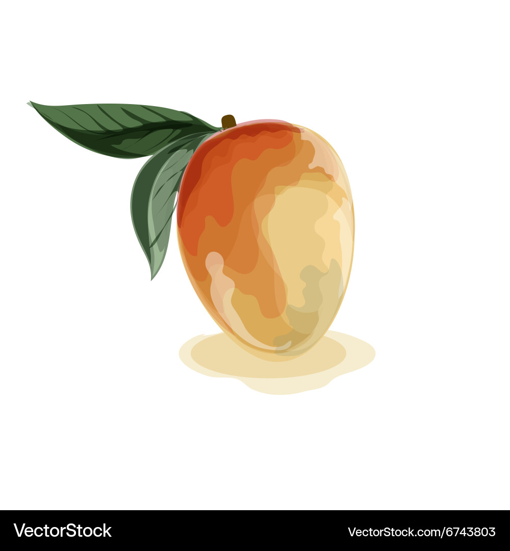 Tropical fruit Royalty Free Vector Image - VectorStock