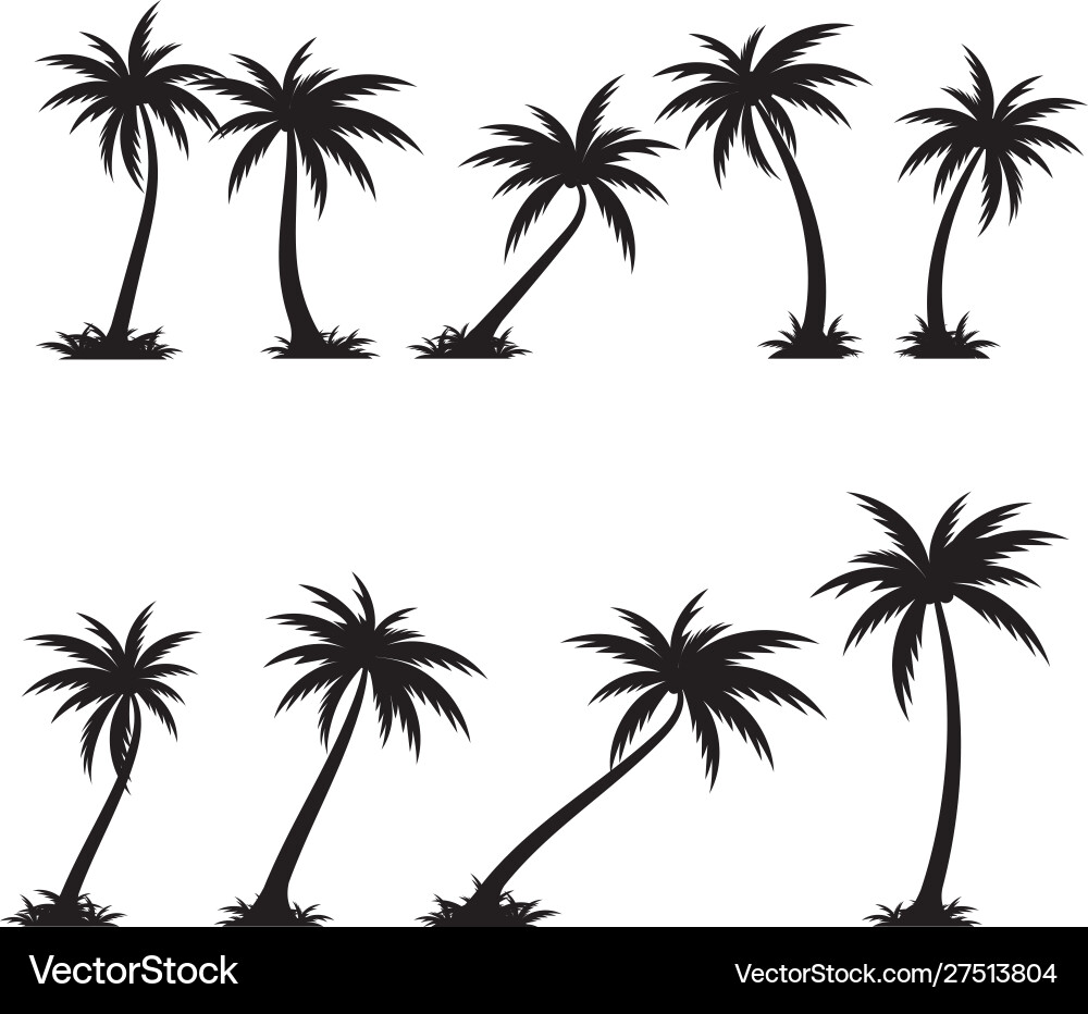 Palm-Symbolvorlage Palm-Symbolvorlage vektorbild