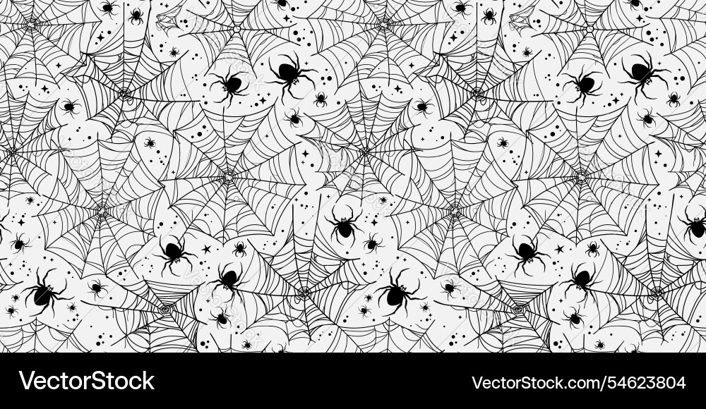 Spooky Cobweb Pattern vector image