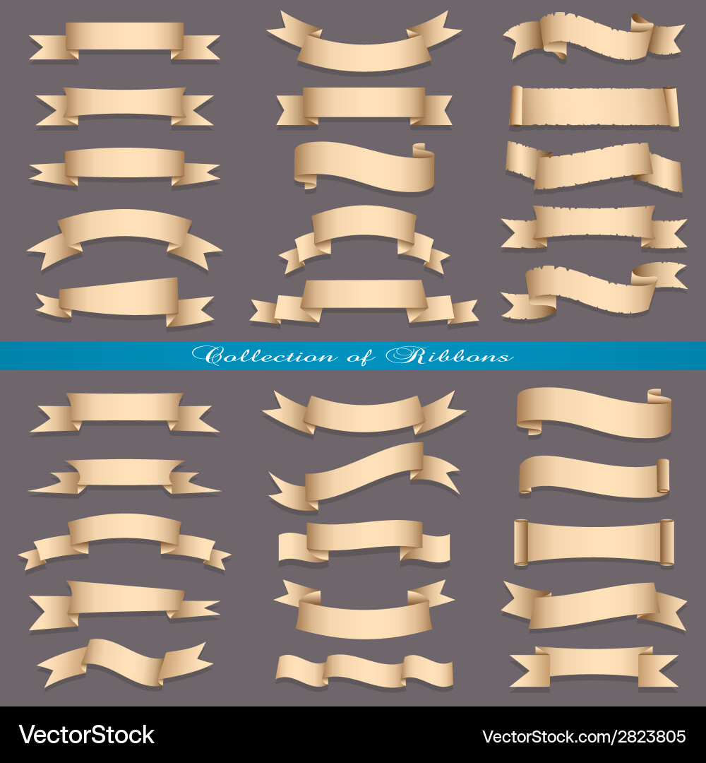 Scrolls and Ribbons Collection vector image