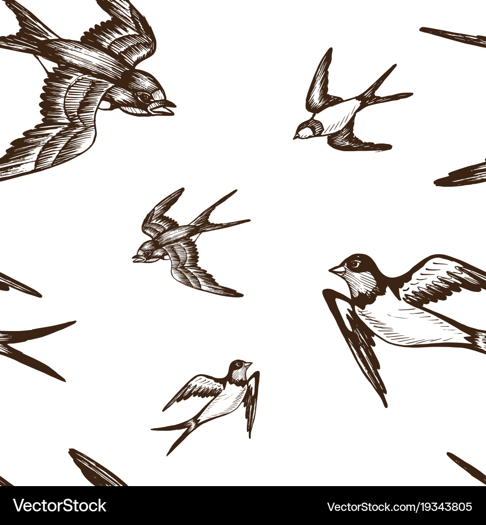 Sketch swallow pattern bird vector image