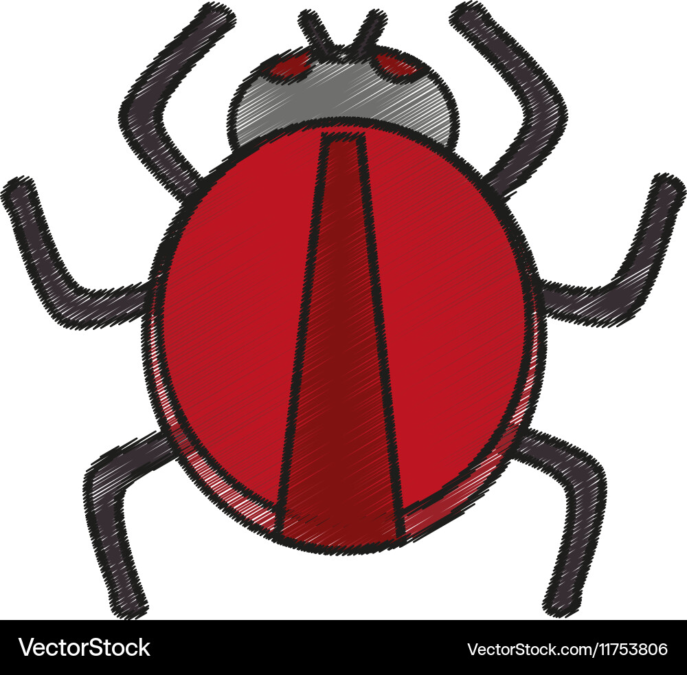 Isolated bug design Vector Image