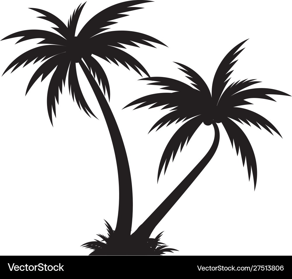 Palm tree icon template Palm tree icon template Vector Image