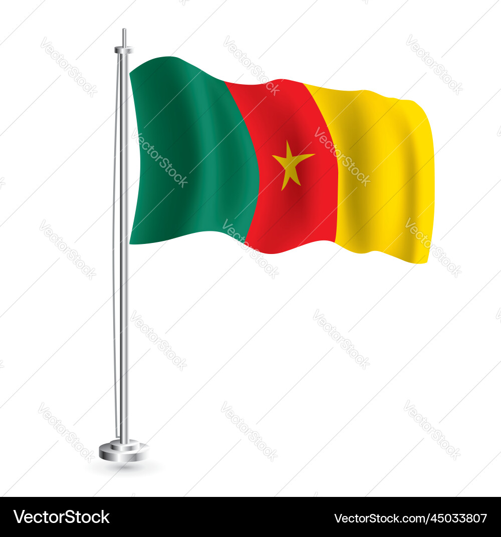 Cameroonian flag isolated realistic wave vector image