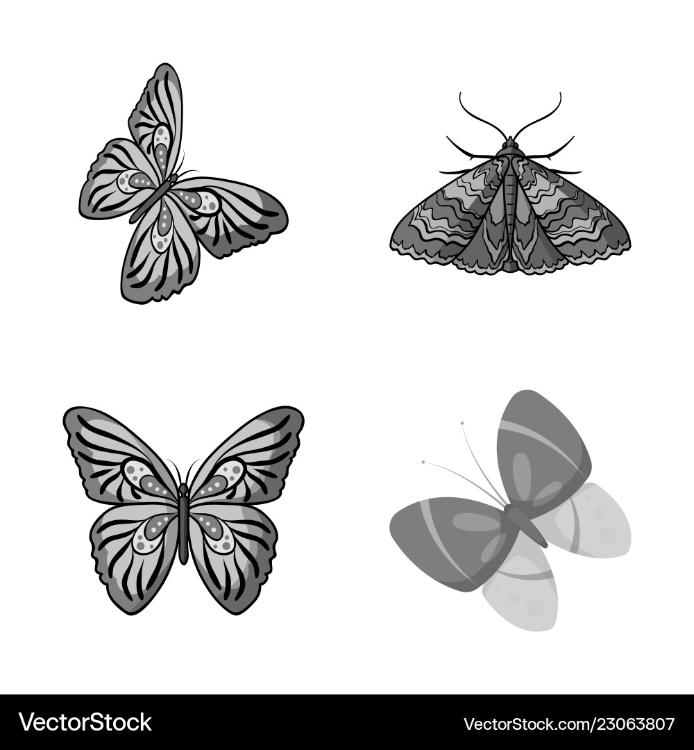 Design of color and spring symbol set vector image