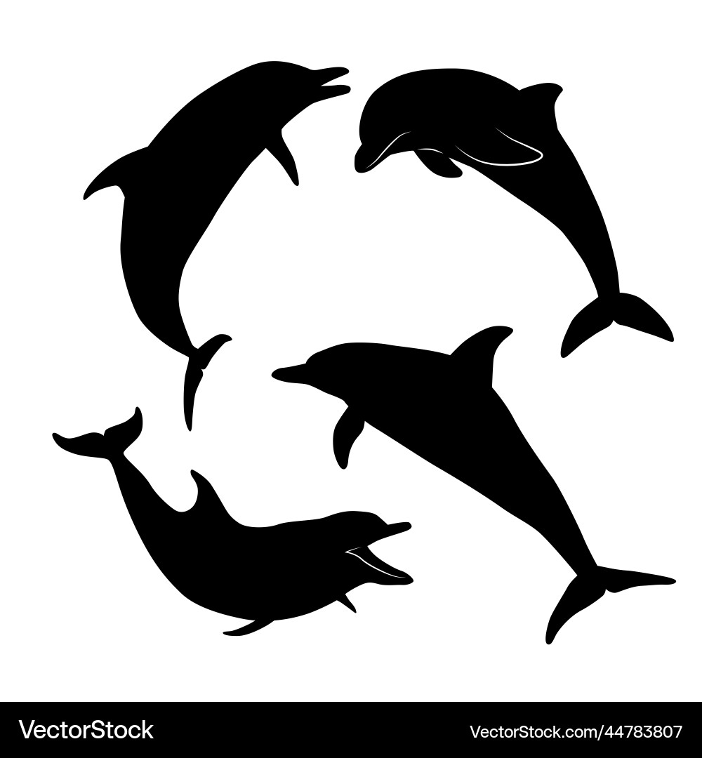 Flat design dolphin animal silhouette set Flat design dolphin animal silhouette set vector image