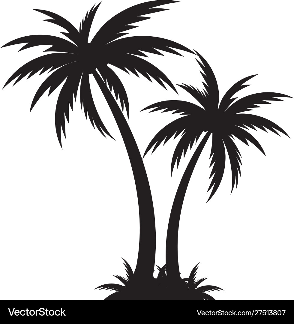 Palm tree icon template Vector Image