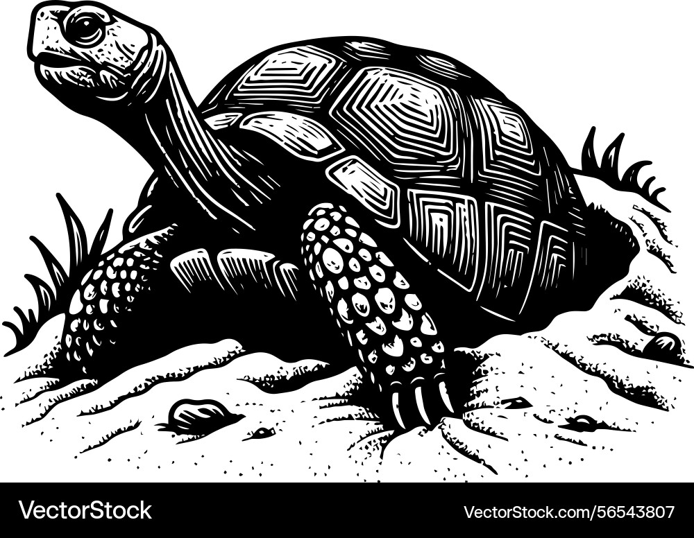 Simple gopher tortoise emerging from burrow icon Vector Image