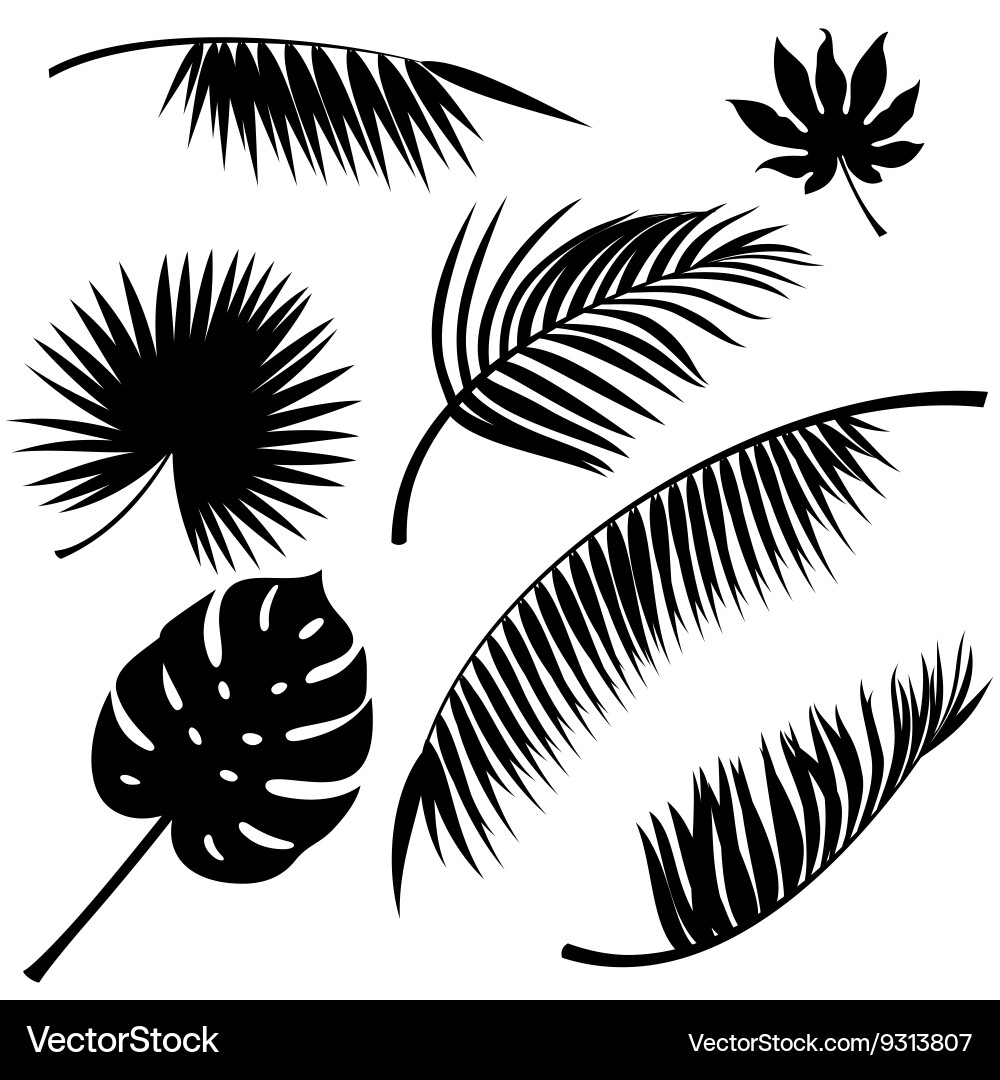 Tropical Leaf Silhouettes Vector Image