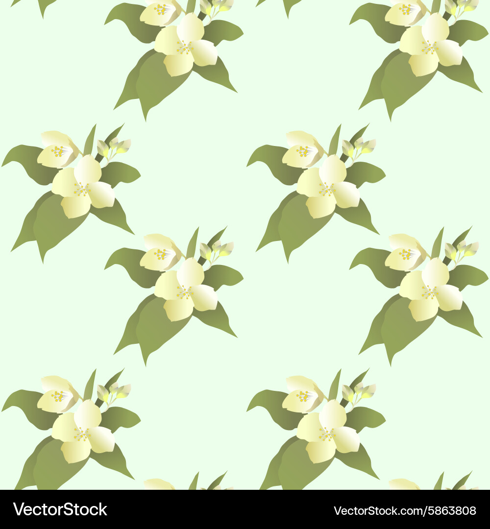 Abstract jasmine flower seamless pattern – Royalty-Free Vector | VectorStock, image size:1000x1080