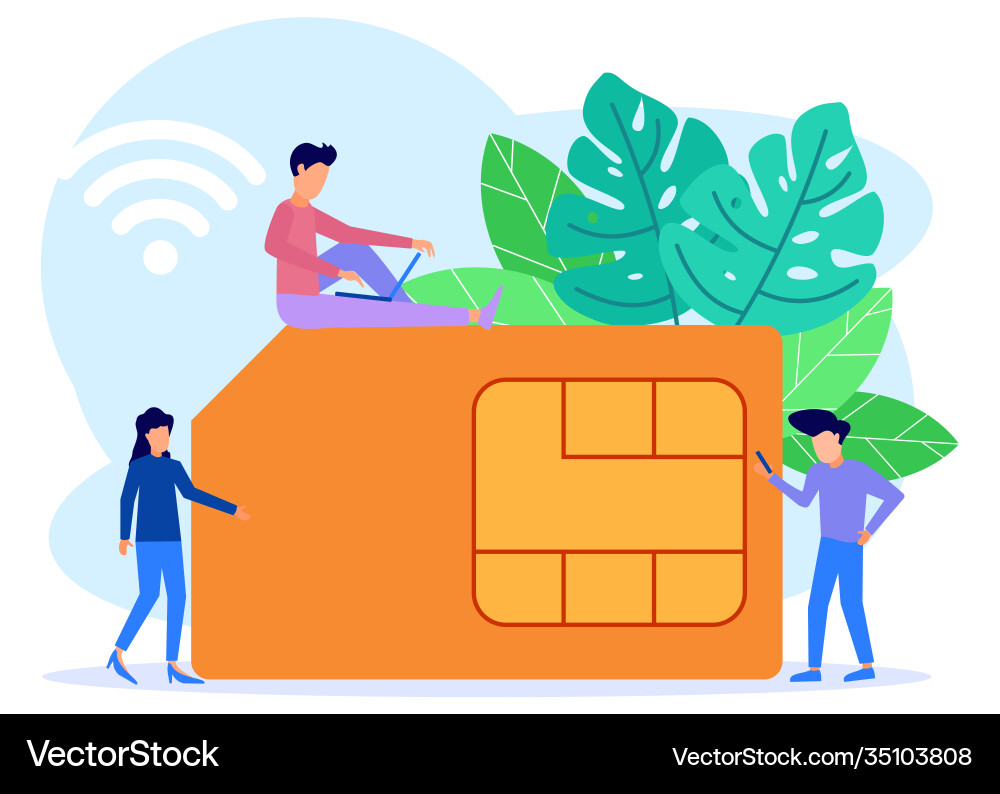 Graphic cartoon character sim card Graphic cartoon character sim card vector image