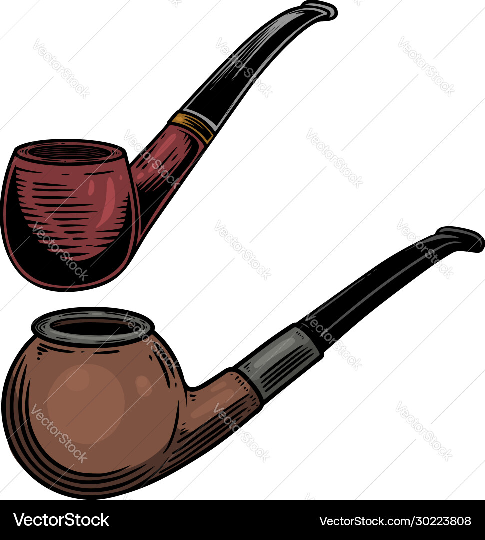 Set smoking pipe in engraving style design Vector Image