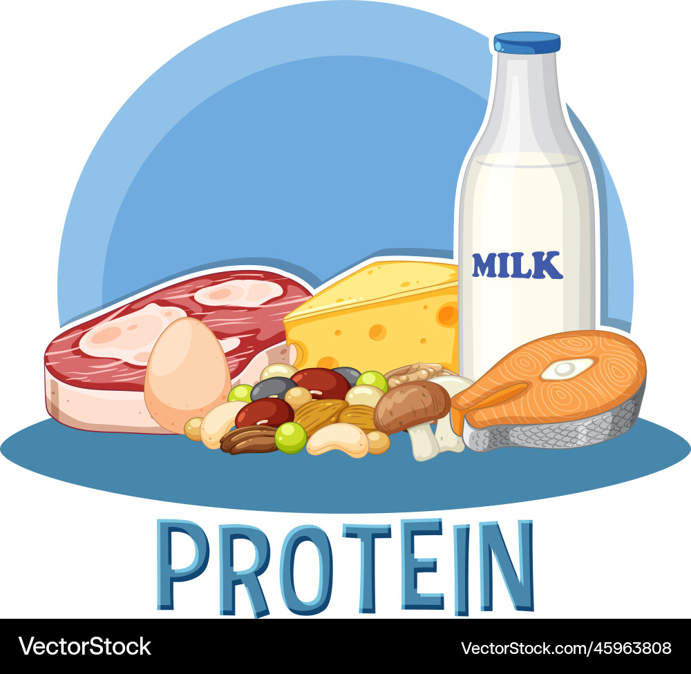 Vielfalt von Protein-Foods mit Text Vielfalt von Protein-Foods mit Text vektorbild