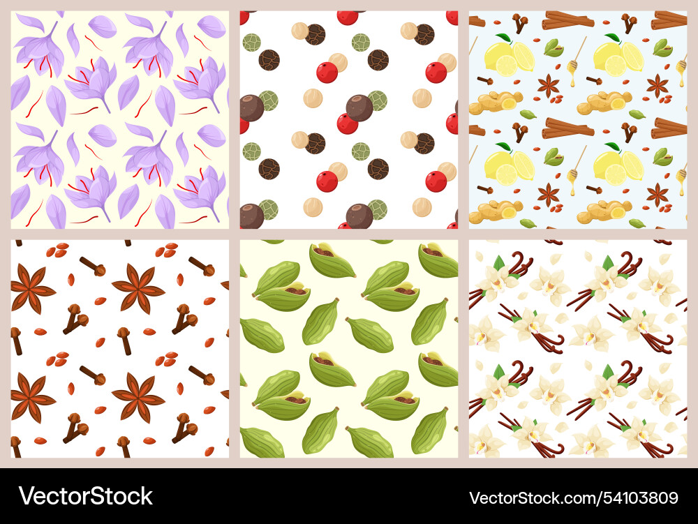 A set of seamless patterns with spices A set of seamless patterns with spices vector image
