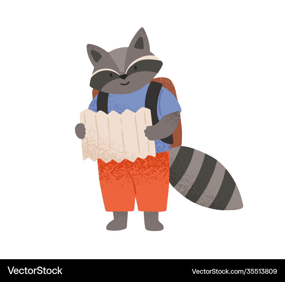 Cute raccoon reading paper map going on trip Cute raccoon reading paper map going on trip vector image