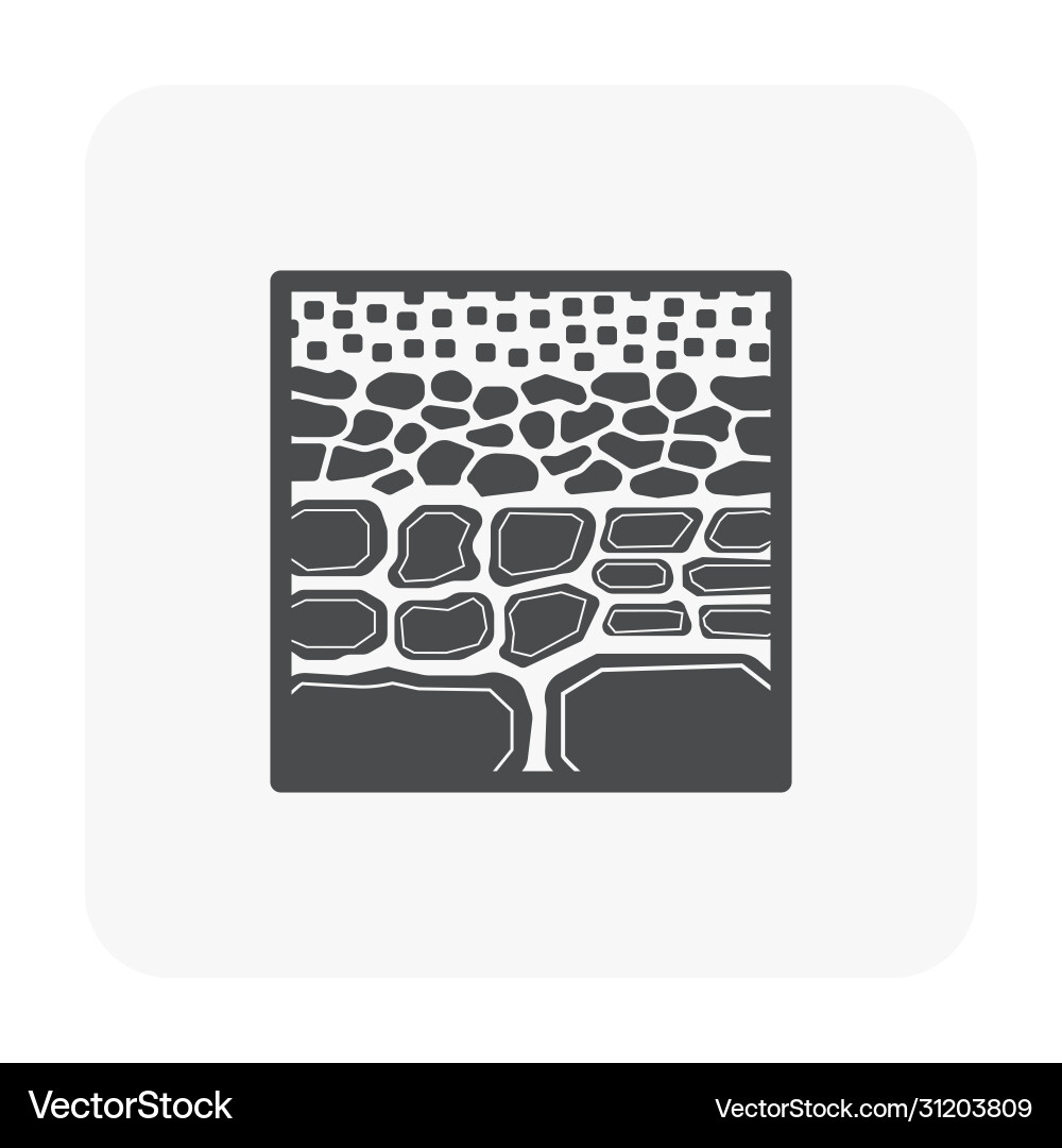 Soil testing icon Soil testing icon vector image