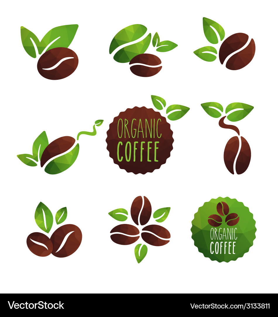 Coffee organic Royalty Free Vector Image - VectorStock
