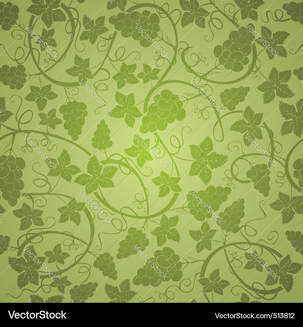 Elegant Vine Pattern vector image