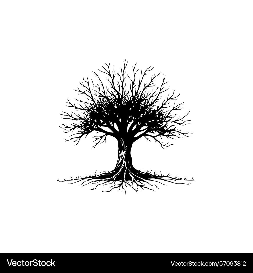 Silhouette of a bare tree with branches and roots Vector Image