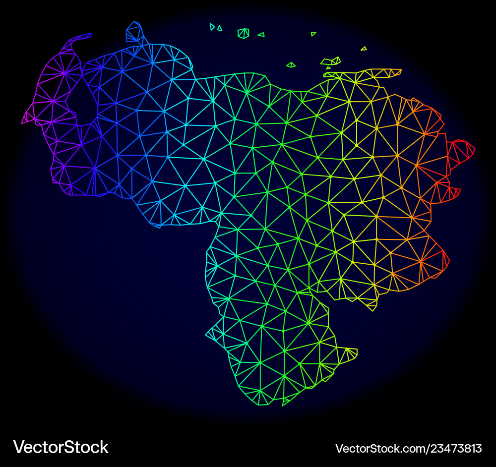 Polygonal network spectrum mesh map Vector Image