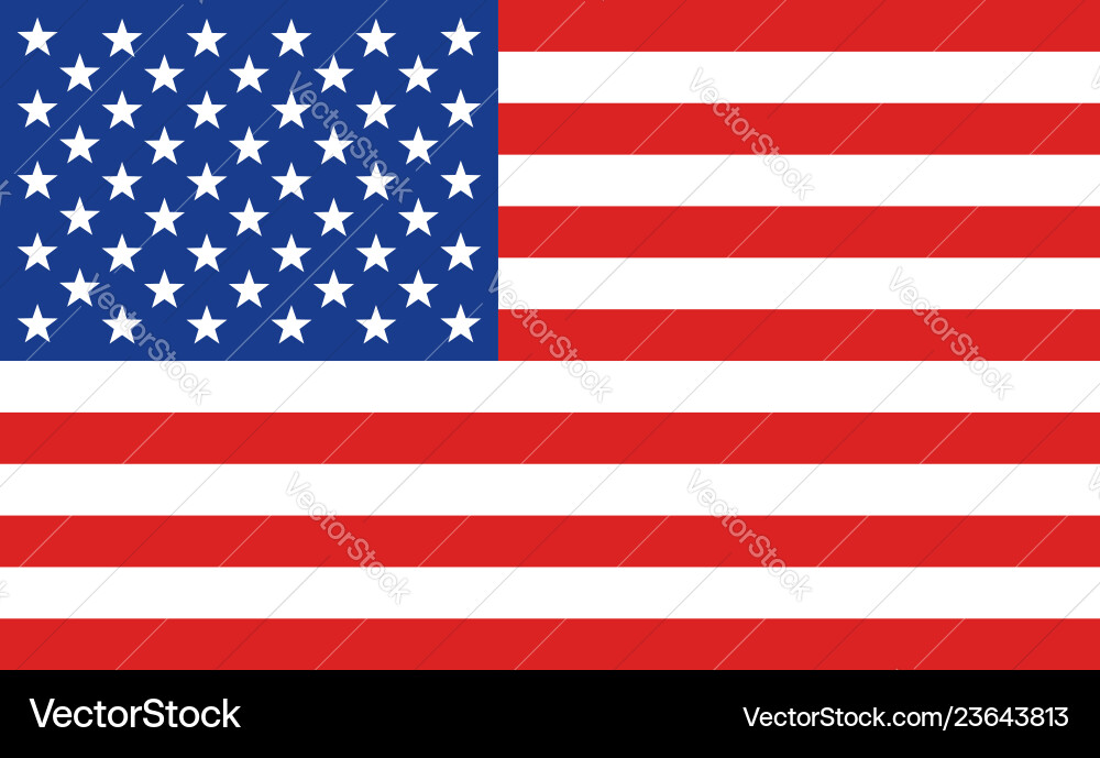 United States Flag Banner vector image