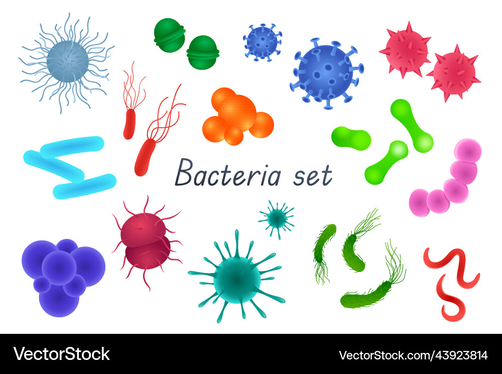 Bacteria and germs 3d realistic set bundle vector image