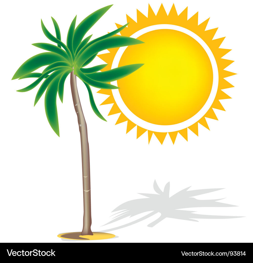 Palm tree Vector Image