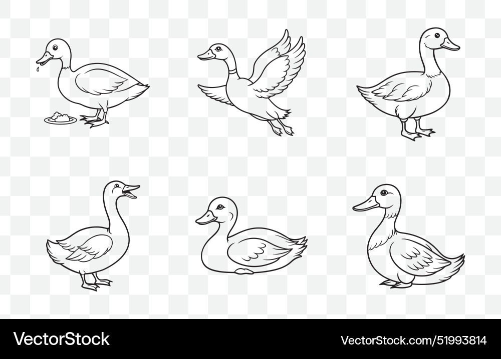 Print comprehensive duck line art set Print comprehensive duck line art set vector image