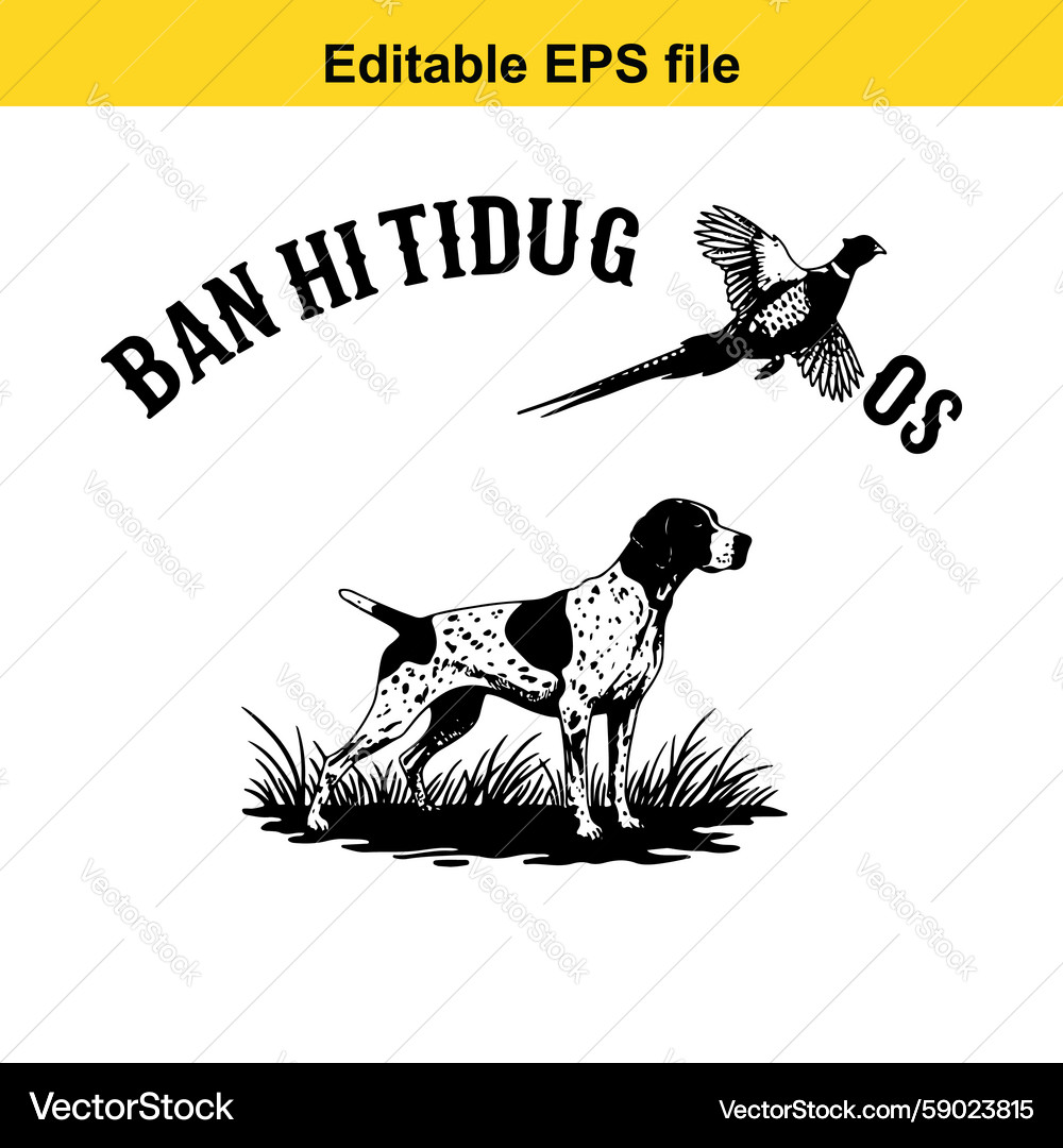 Hunting Pointer with Pheasant Vector Image
