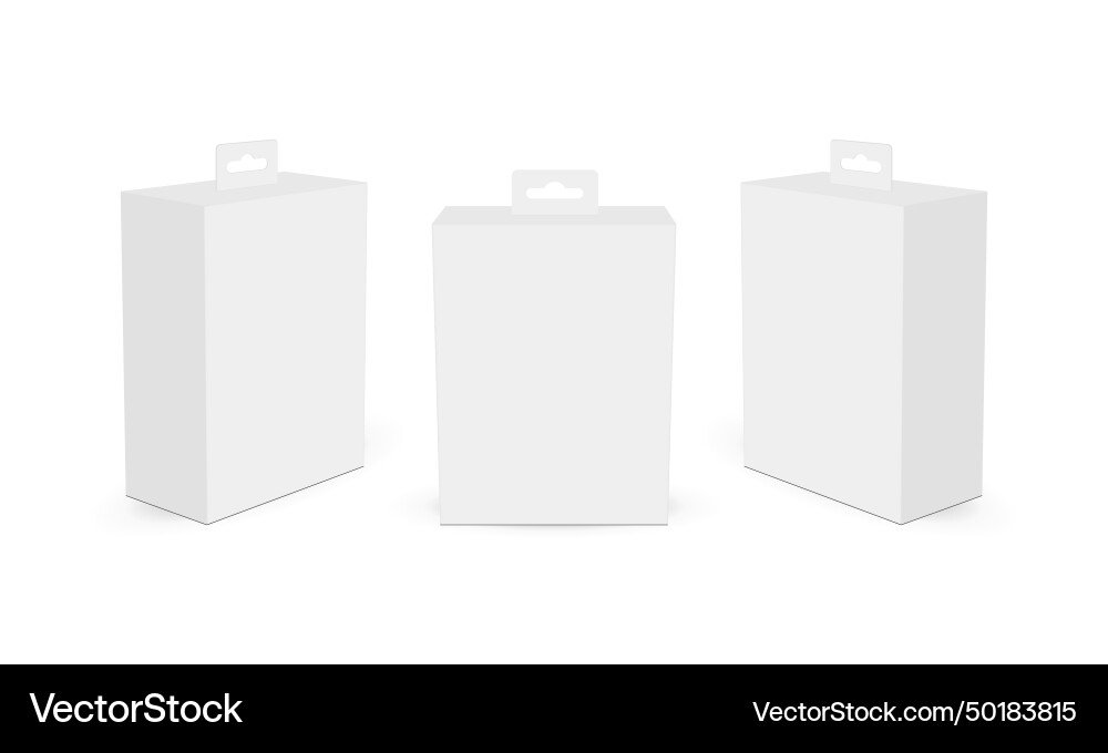 Rectangular hang tab boxes mockups front side vector image