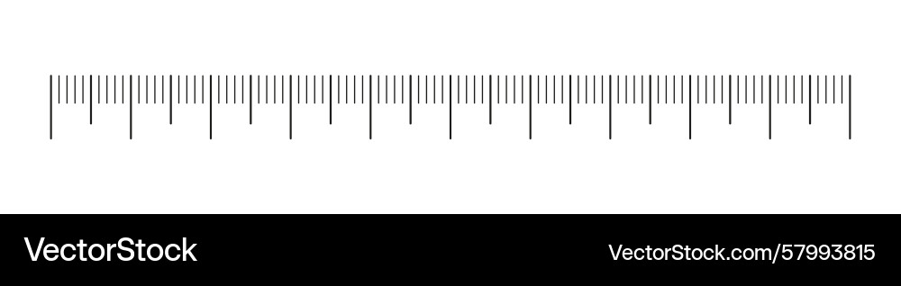Ruler scale without numbers measuring chart Vector Image