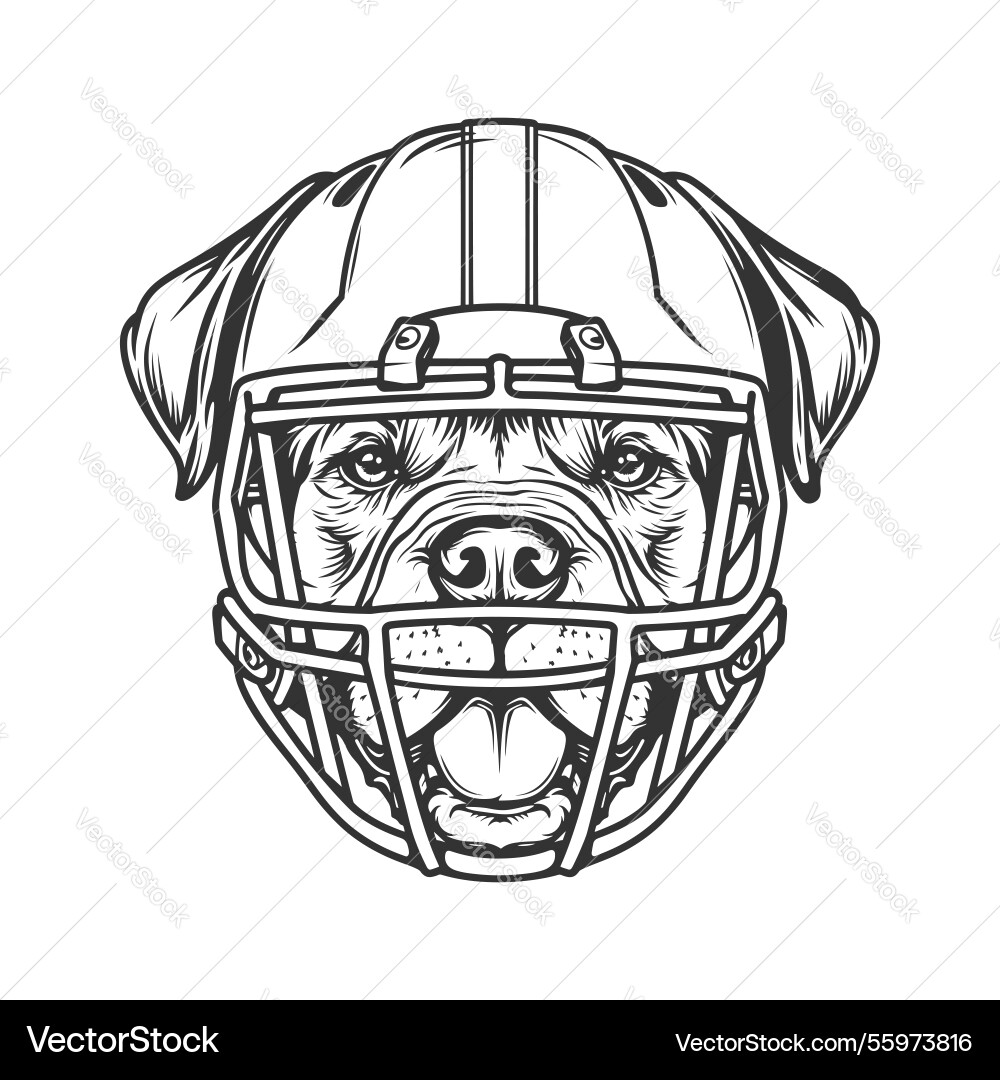 Bulldog Mascot Headshot Vector Image
