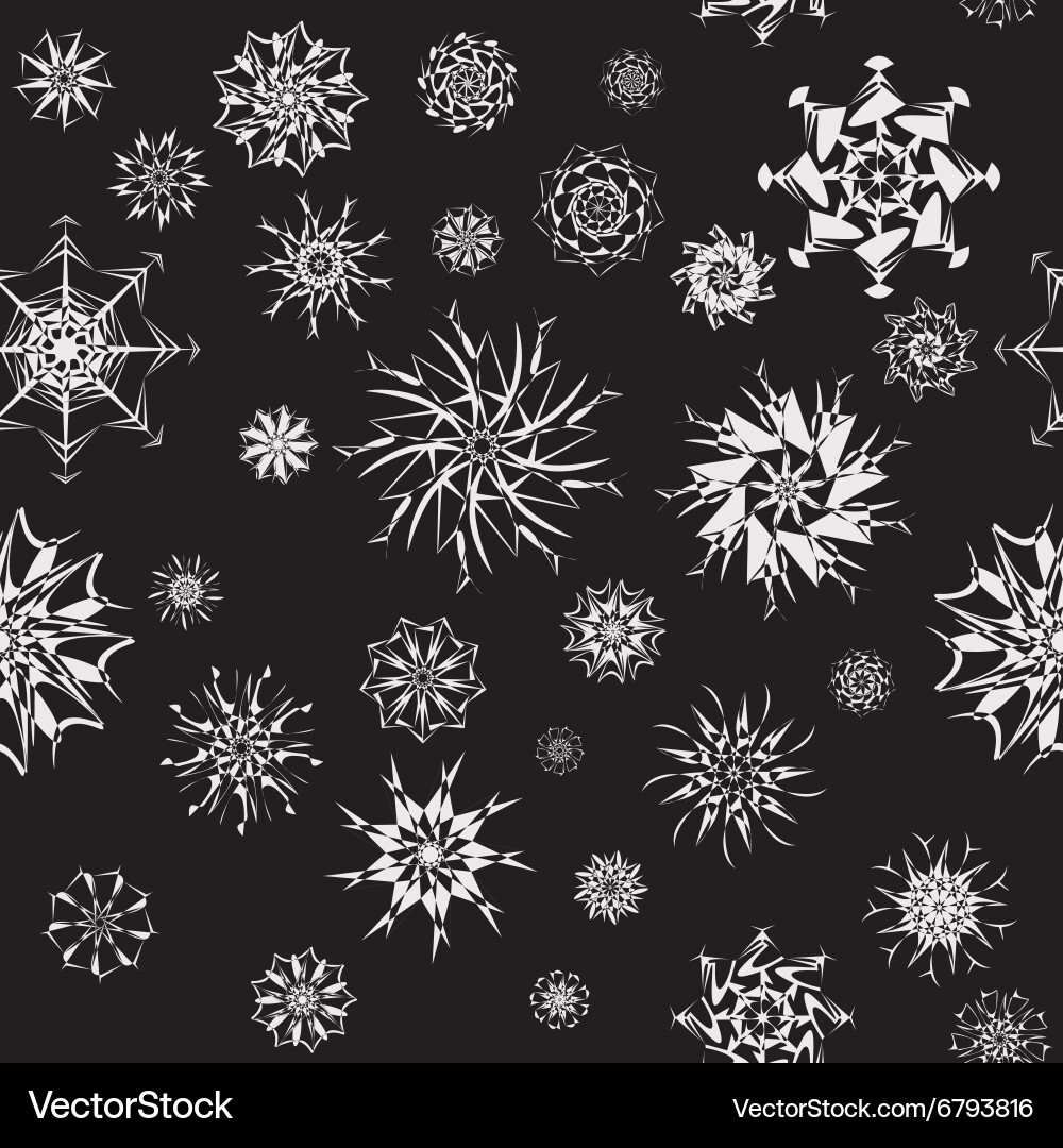 Elegant white snowflakes of various styles vector image