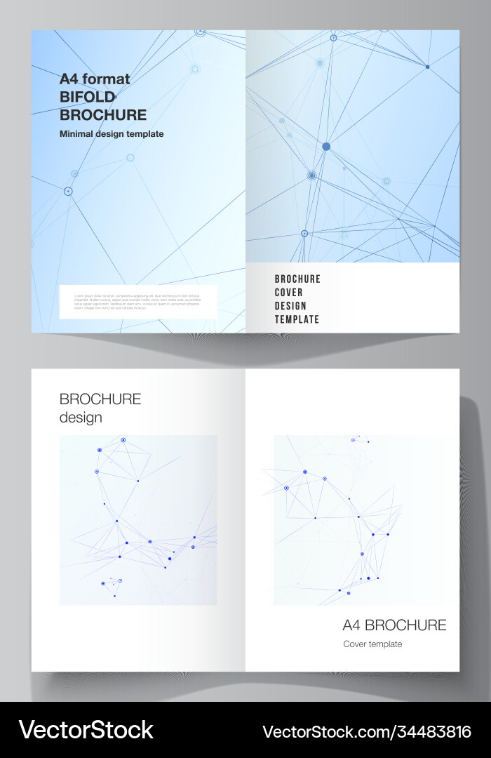 Layout two a4 format cover mockups Layout two a4 format cover mockups vector image