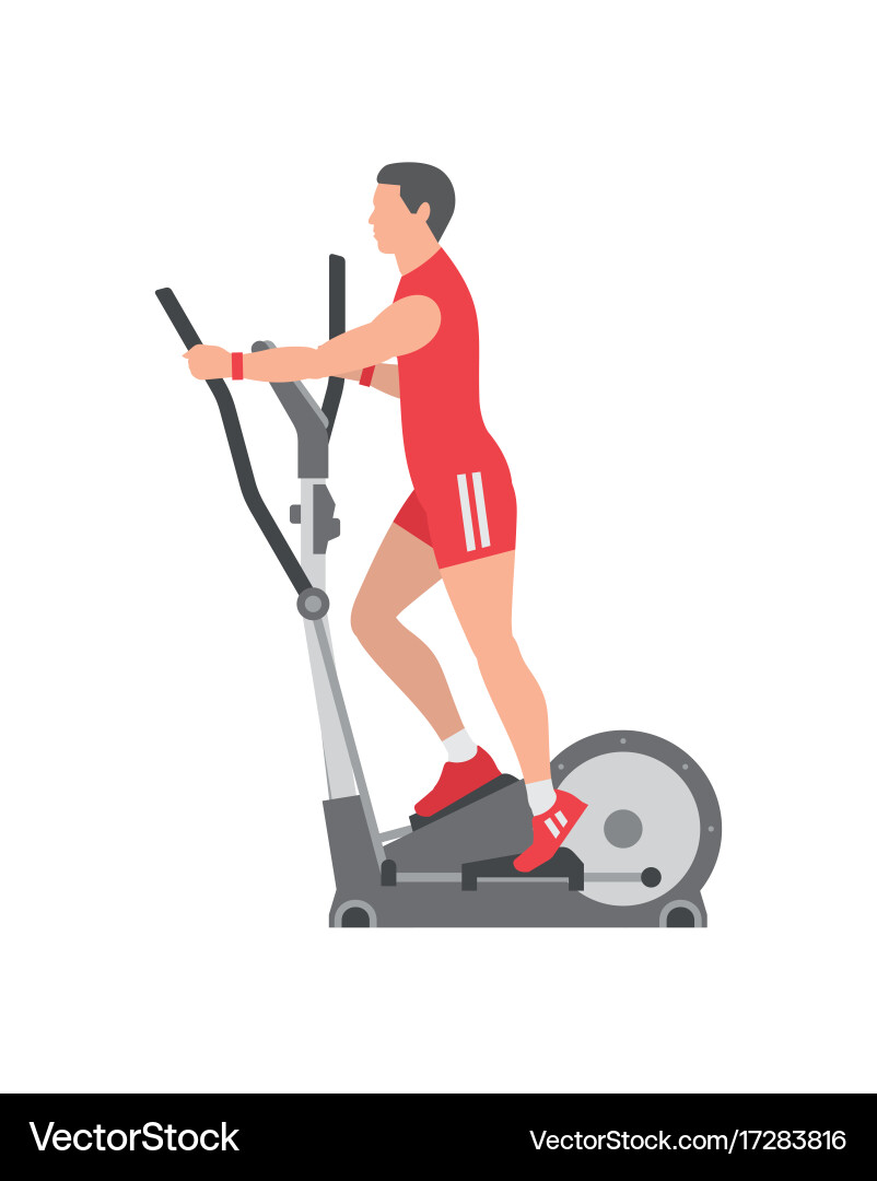 Man running on elliptical machine vector image