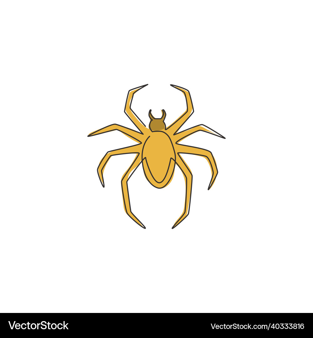 One continuous line drawing of spider spreading One continuous line drawing of spider spreading Vector Image