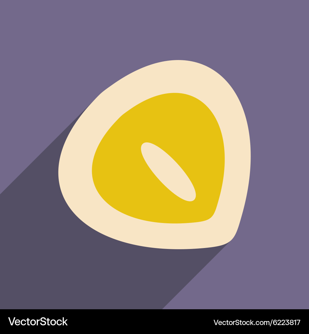 Flat with shadow icon and mobile application vector image
