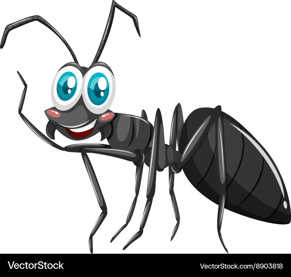 Black ant with smiling face Vector Image