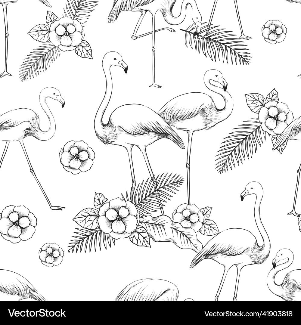 Flamingo sketch pattern seamless print of exotic Flamingo sketch pattern seamless print of exotic vector image