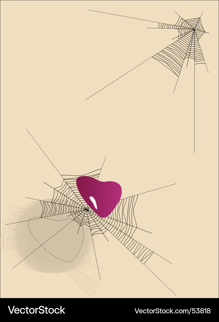 Heart in web Vector Image