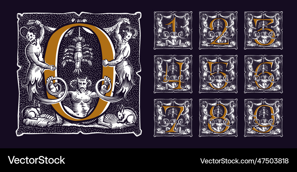 Witchcraft numbers set gothic medieval initials Vector Image