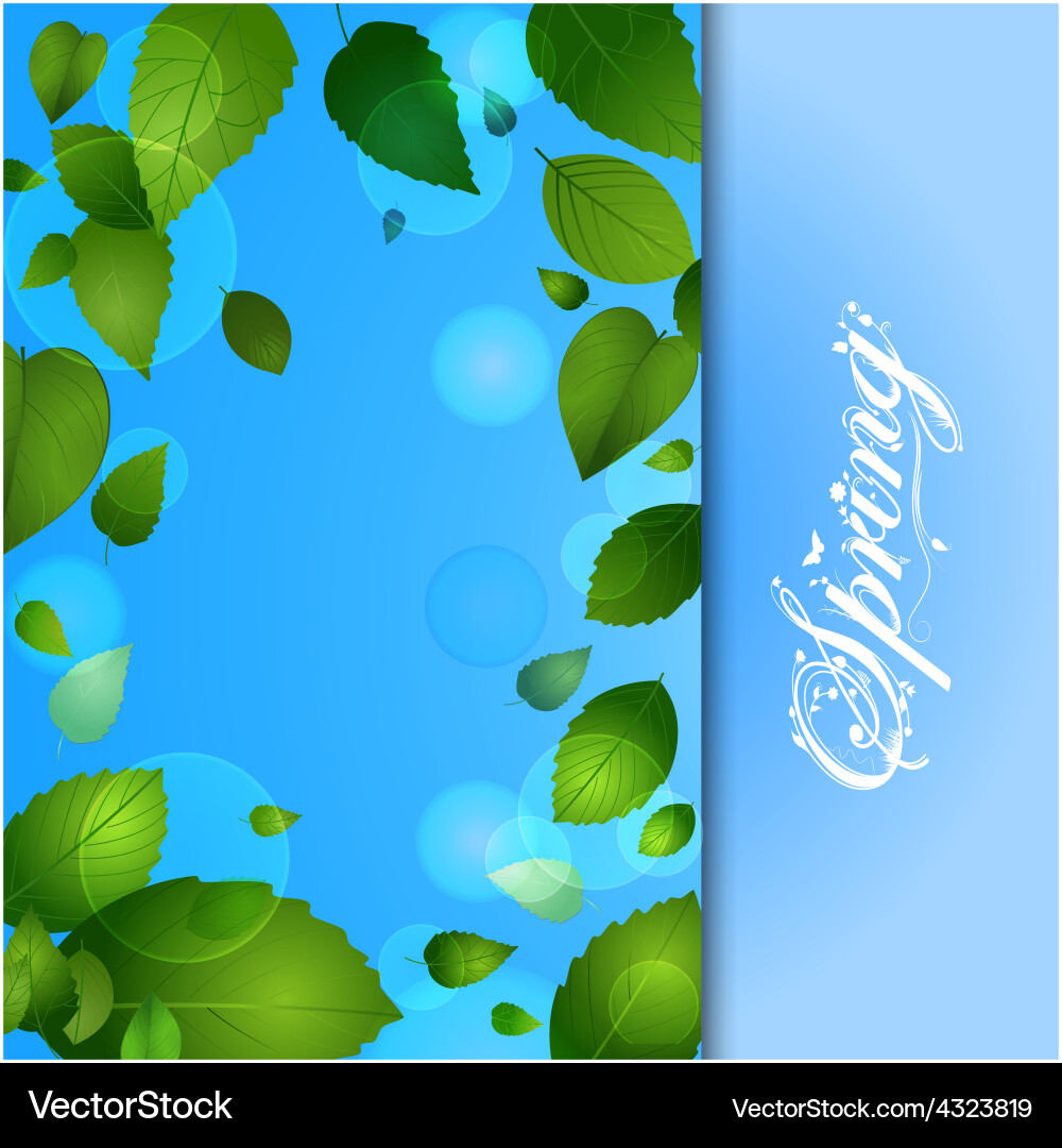 Spring background with leafs and text Vector Image