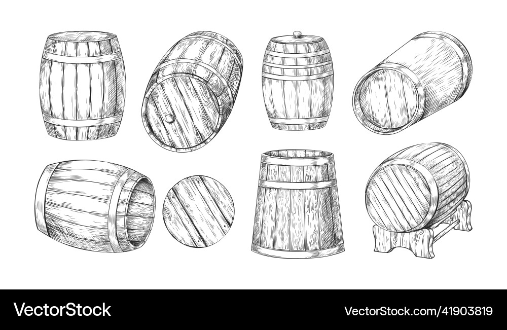 Wooden barrel sketch hand drawn vintage oak wood vector image