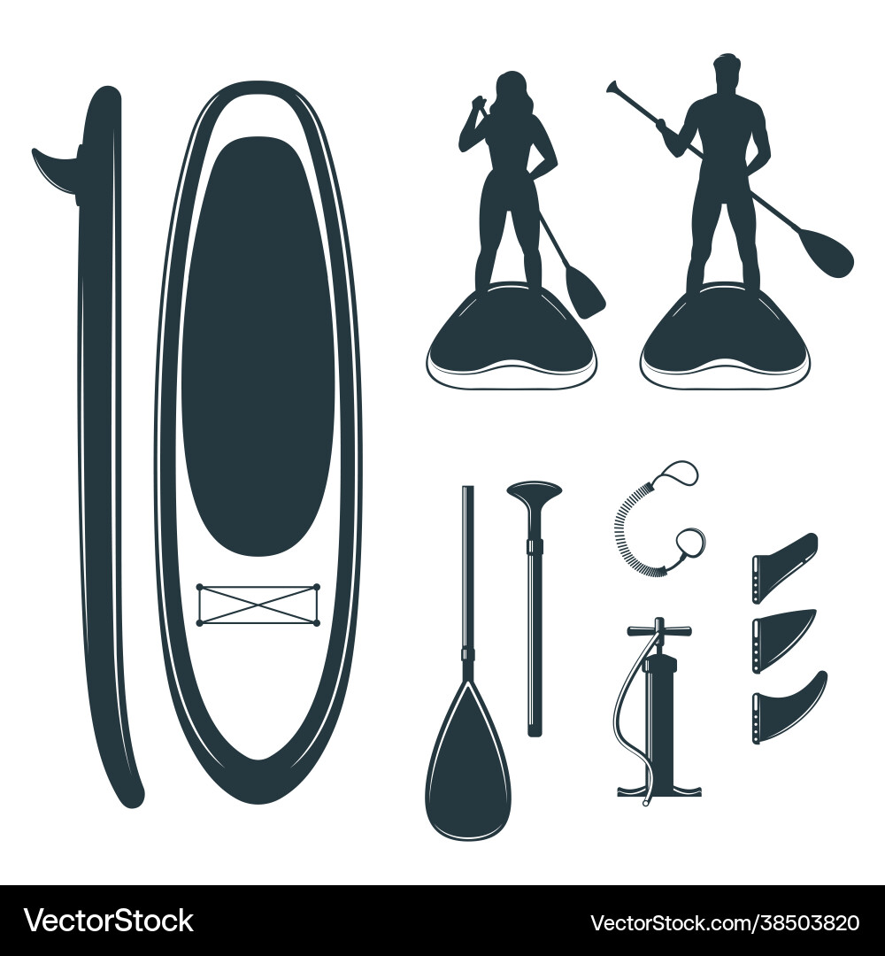 A stand up paddle board design elements vector image