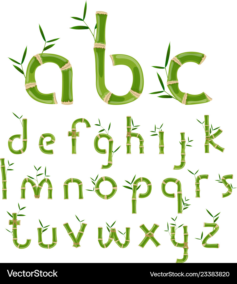 Bamboo Alphabet Tropical Font Vector Image