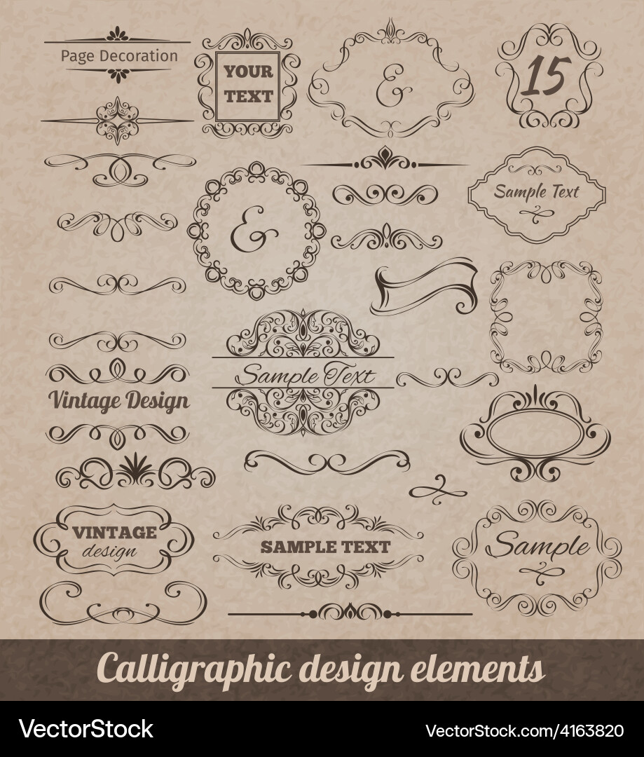 Elegant Calligraphic Scrolls & Vignettes vector image