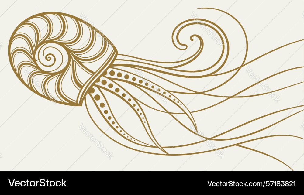 Stylized nautilus shell in abstract swirl design vector image