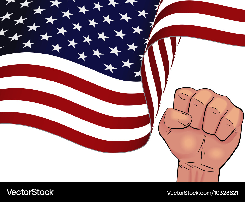 Waving usa flag isolated on white background Vector Image