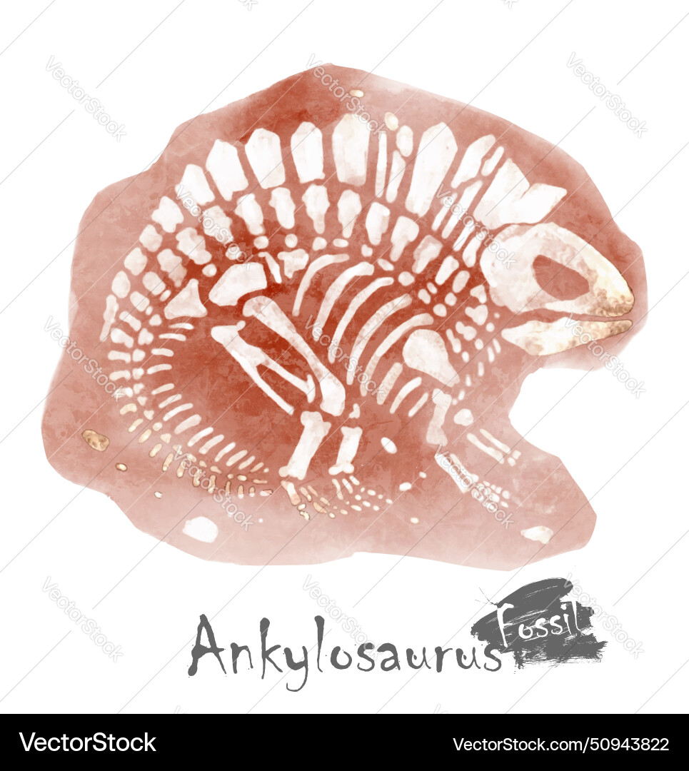 Fossil von ankylosaurus dinosaur in rock Fossil von ankylosaurus dinosaur in rock vektorbild