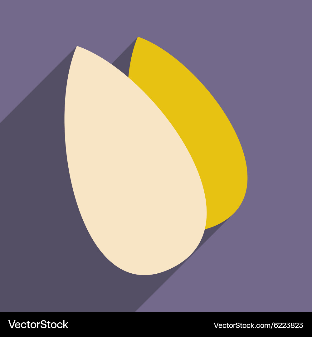 Flat with shadow icon and mobile application vector image